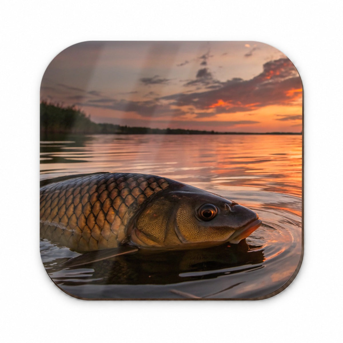 Carp Fishing At Sunset Fridge Magnet