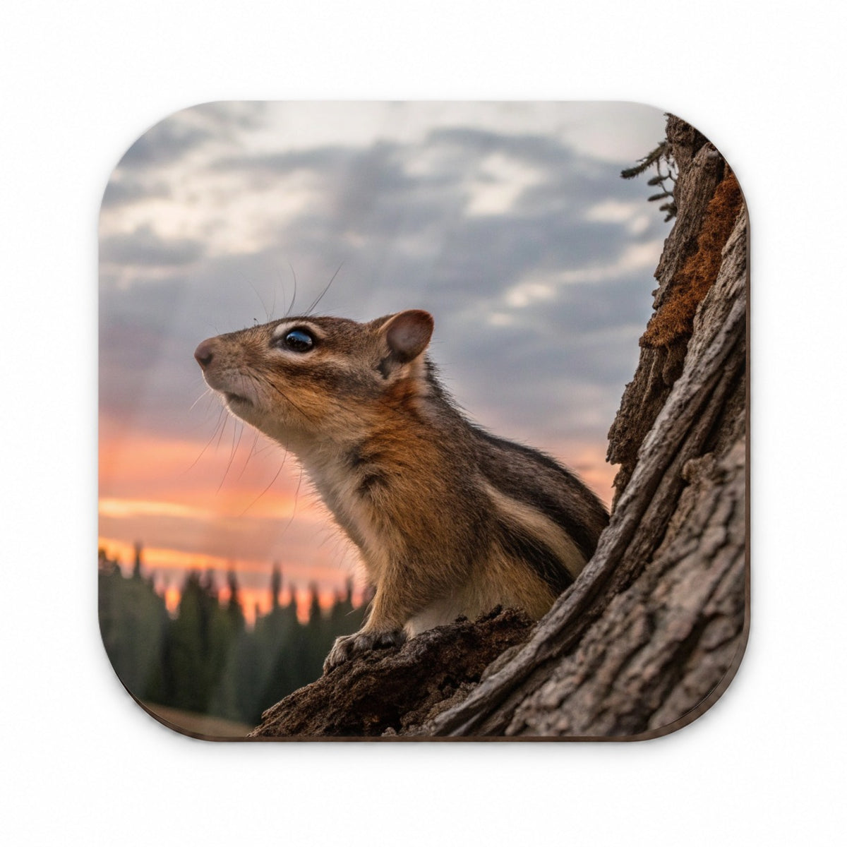 Chipmunk At Sunset Fridge Magnet