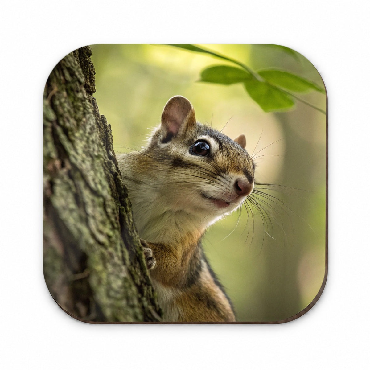 Curious Chipmunk Wildlife Nature Fridge Magnet