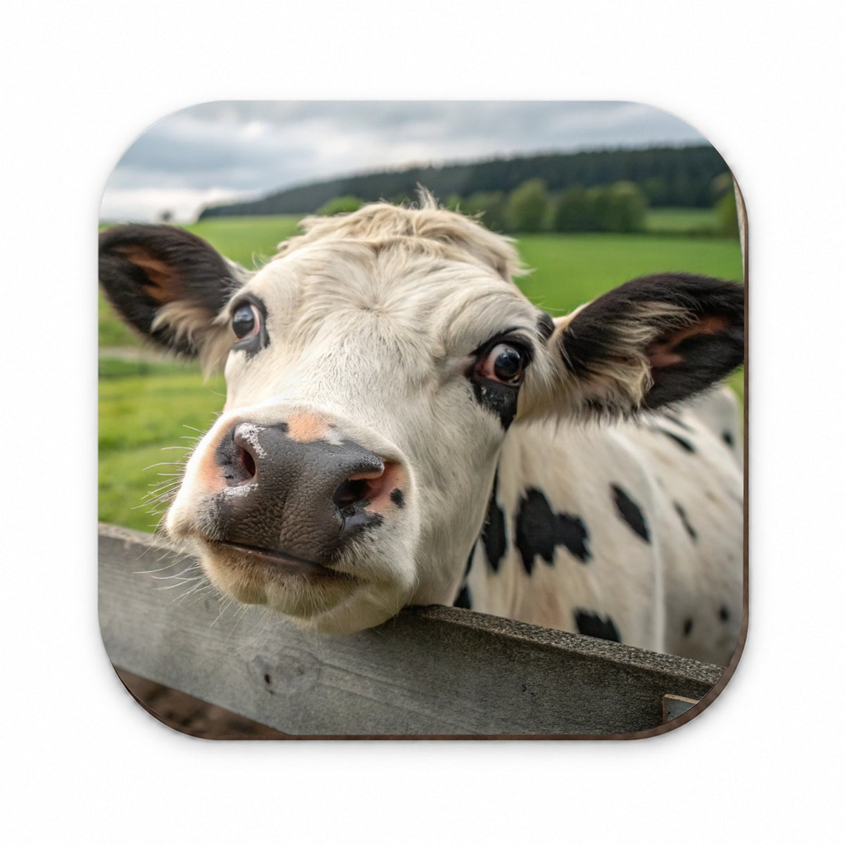 Curious Cow Farm Life Fridge Magnet