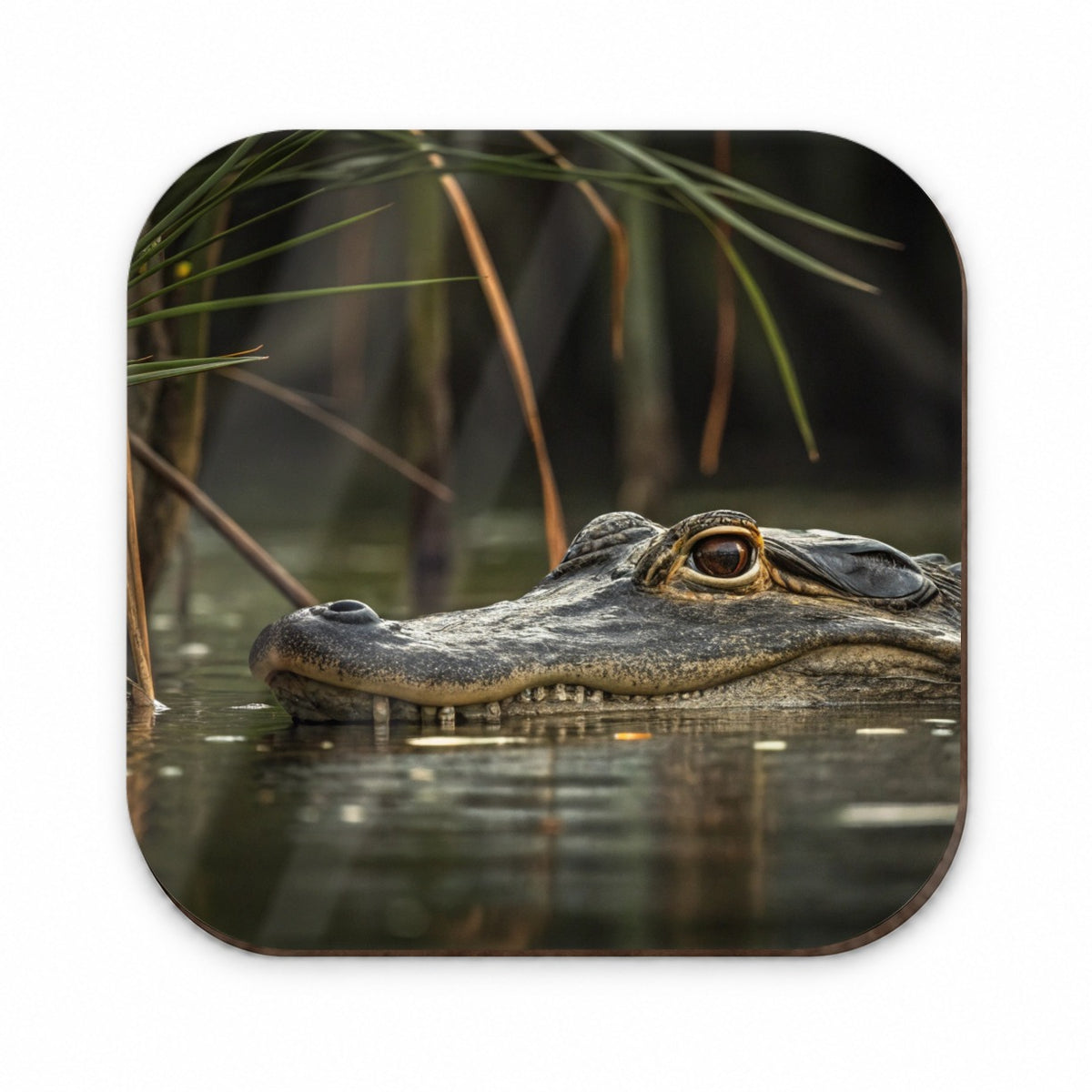 Hidden Alligator Nature Photo Fridge Magnet