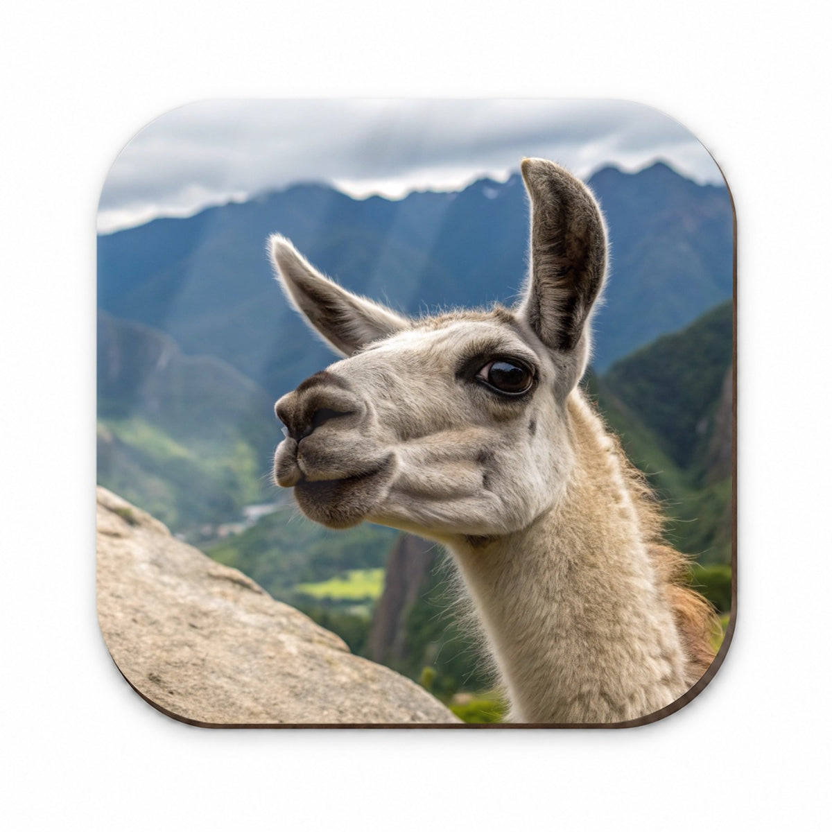 Llama Highlands Fridge Magnet