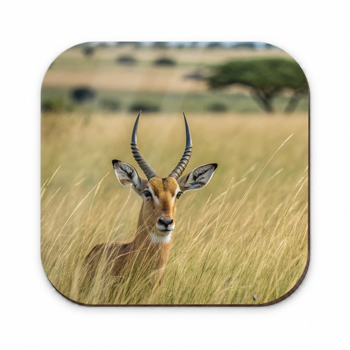 Watchful Antelope Nature Scene Fridge Magnet