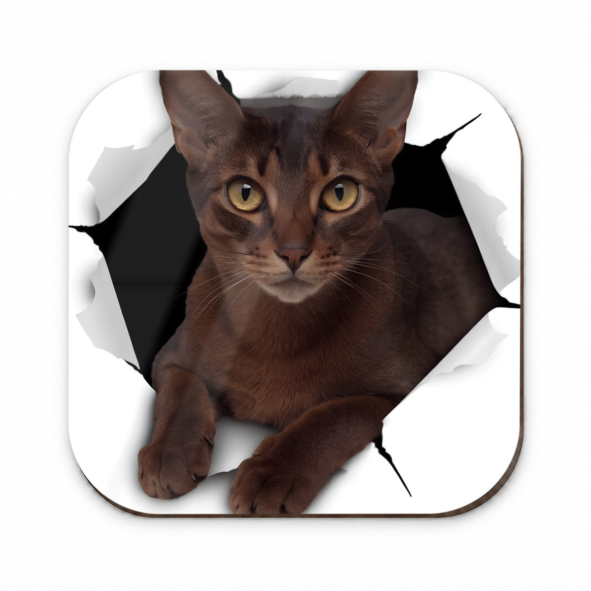 Abyssinian Cat Breakout Fridge Magnet