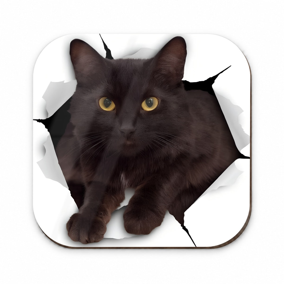 Black Cat Breakout Fridge Magnet