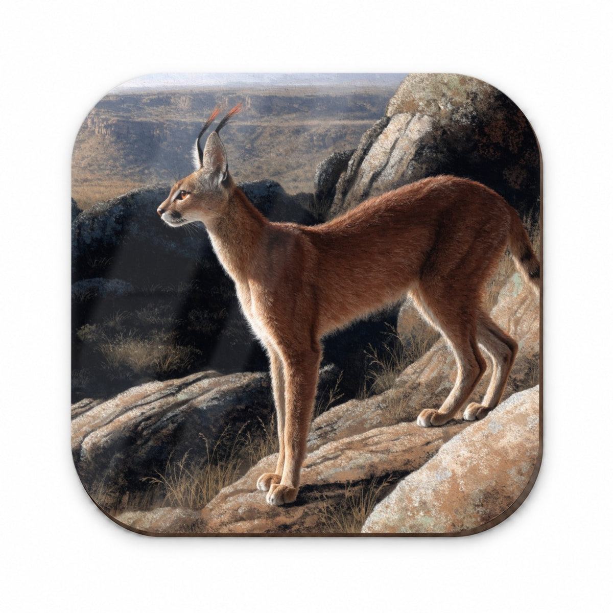 Caracal Wild Cat Fridge Magnet