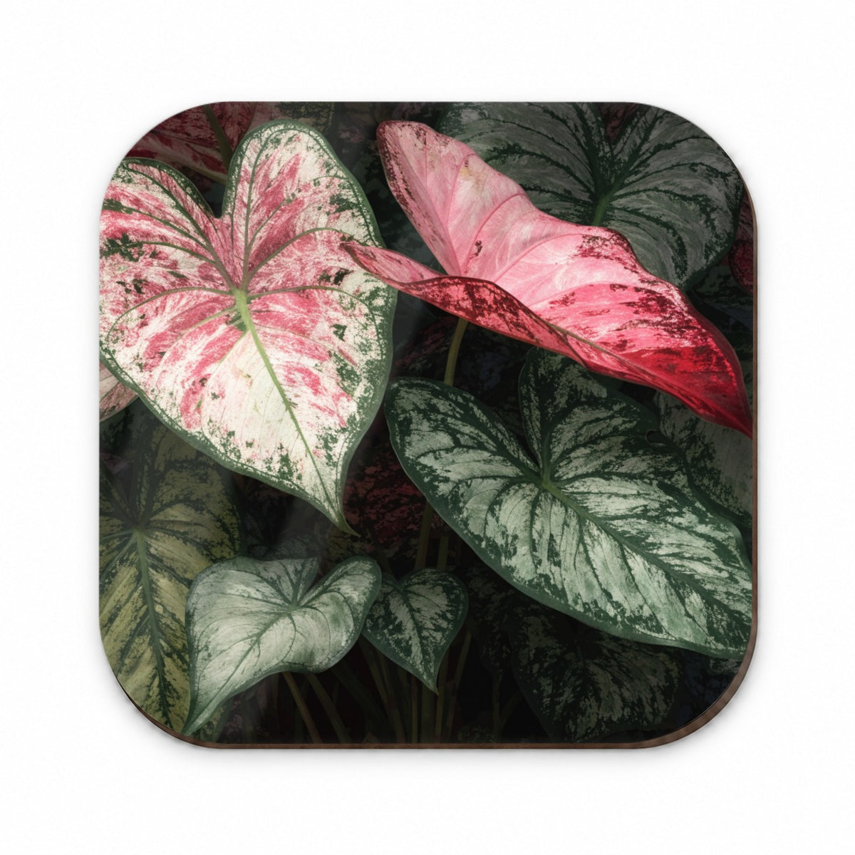 Colorful Caladium Leaves Fridge Magnet