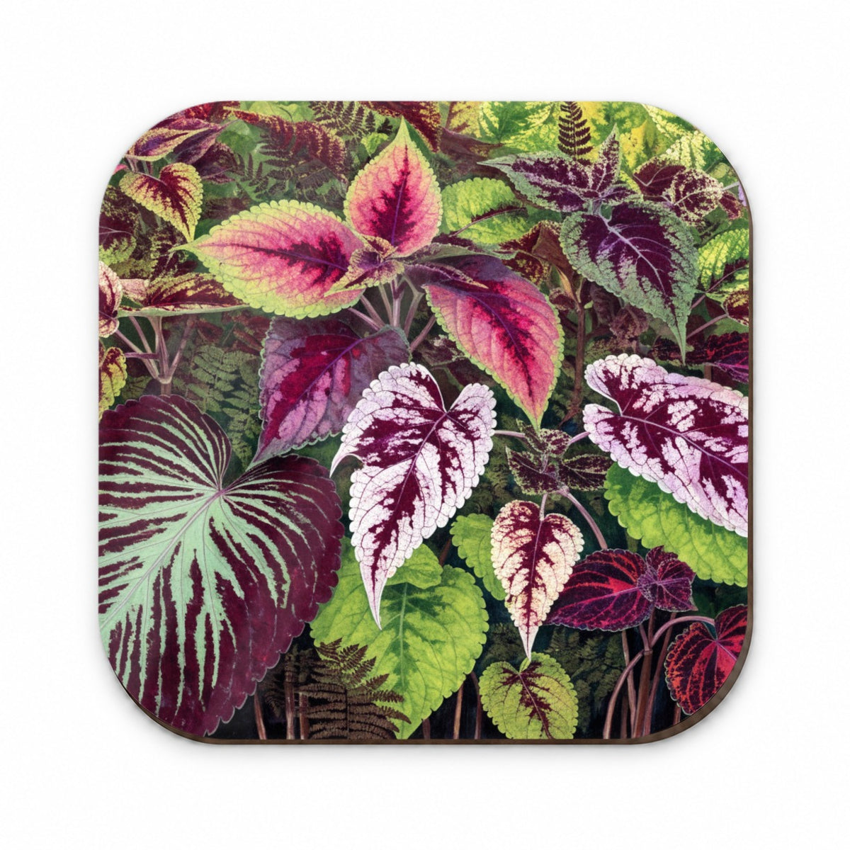 Colorful Coleus Garden Fridge Magnet