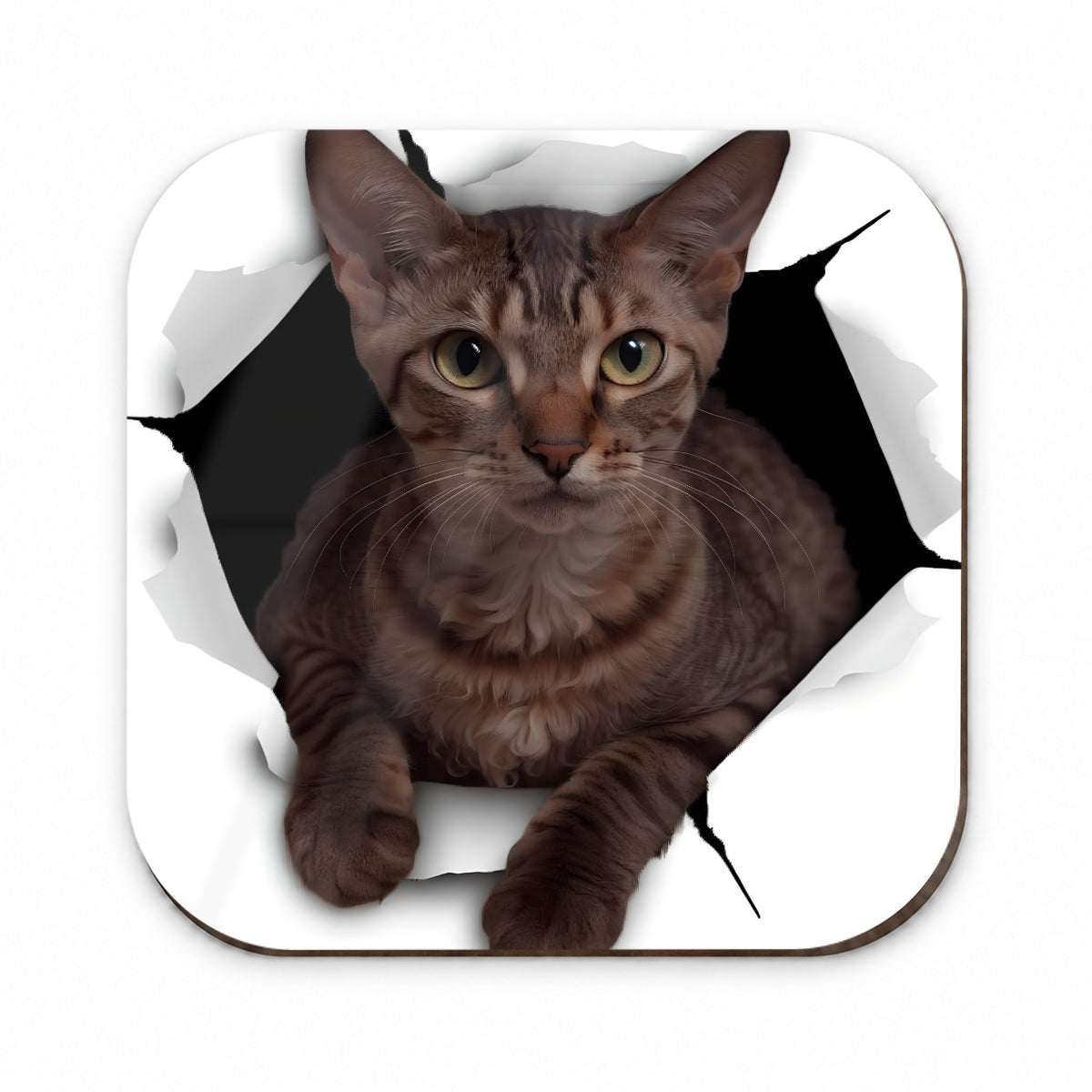 Cornish Rex Cat Breakout Fridge Magnet