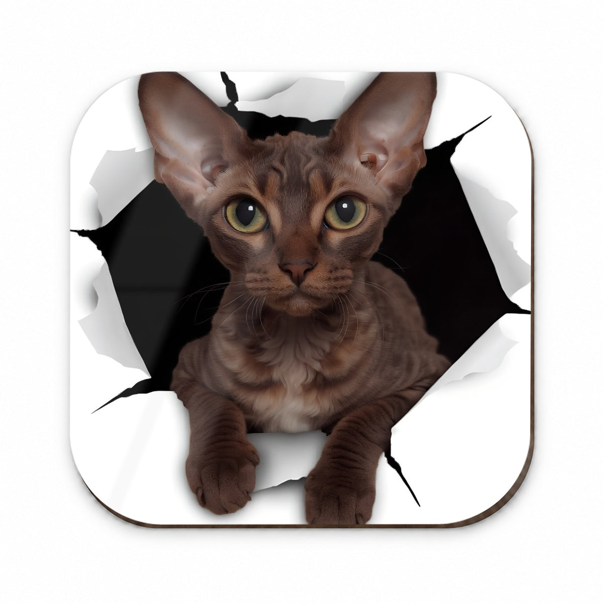 Devon Rex Cat Breakout Fridge Magnet