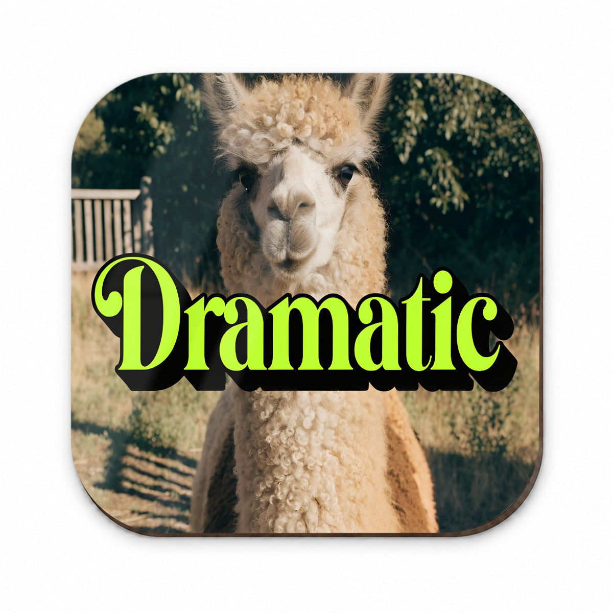 Dramatic Llama Funny Fridge Magnet