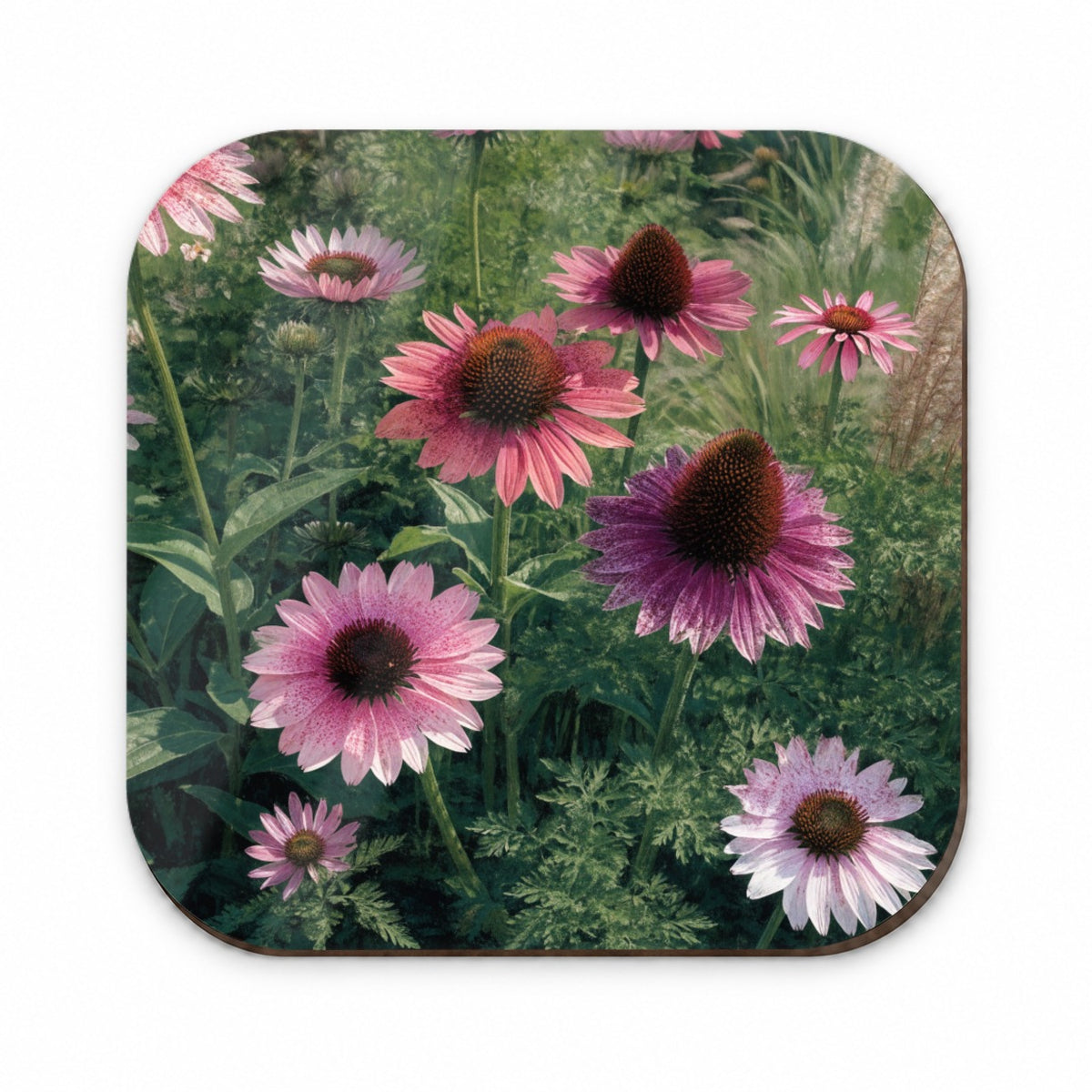 Echinacea Coneflower Garden Fridge Magnet