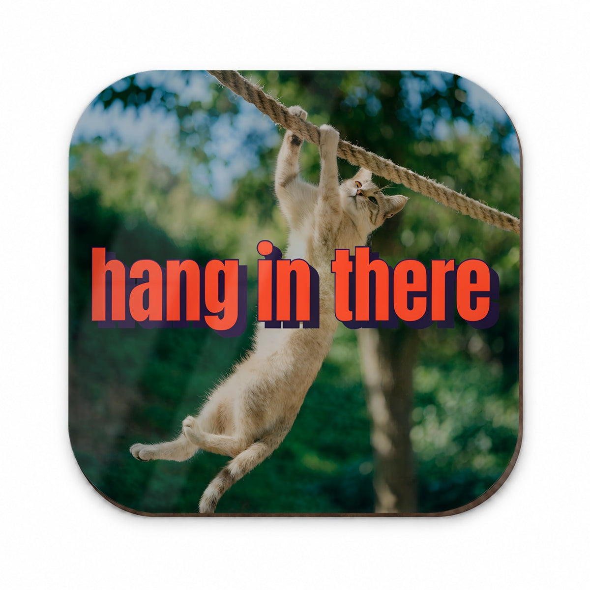 Hang In There Cat Funny Fridge Magnet