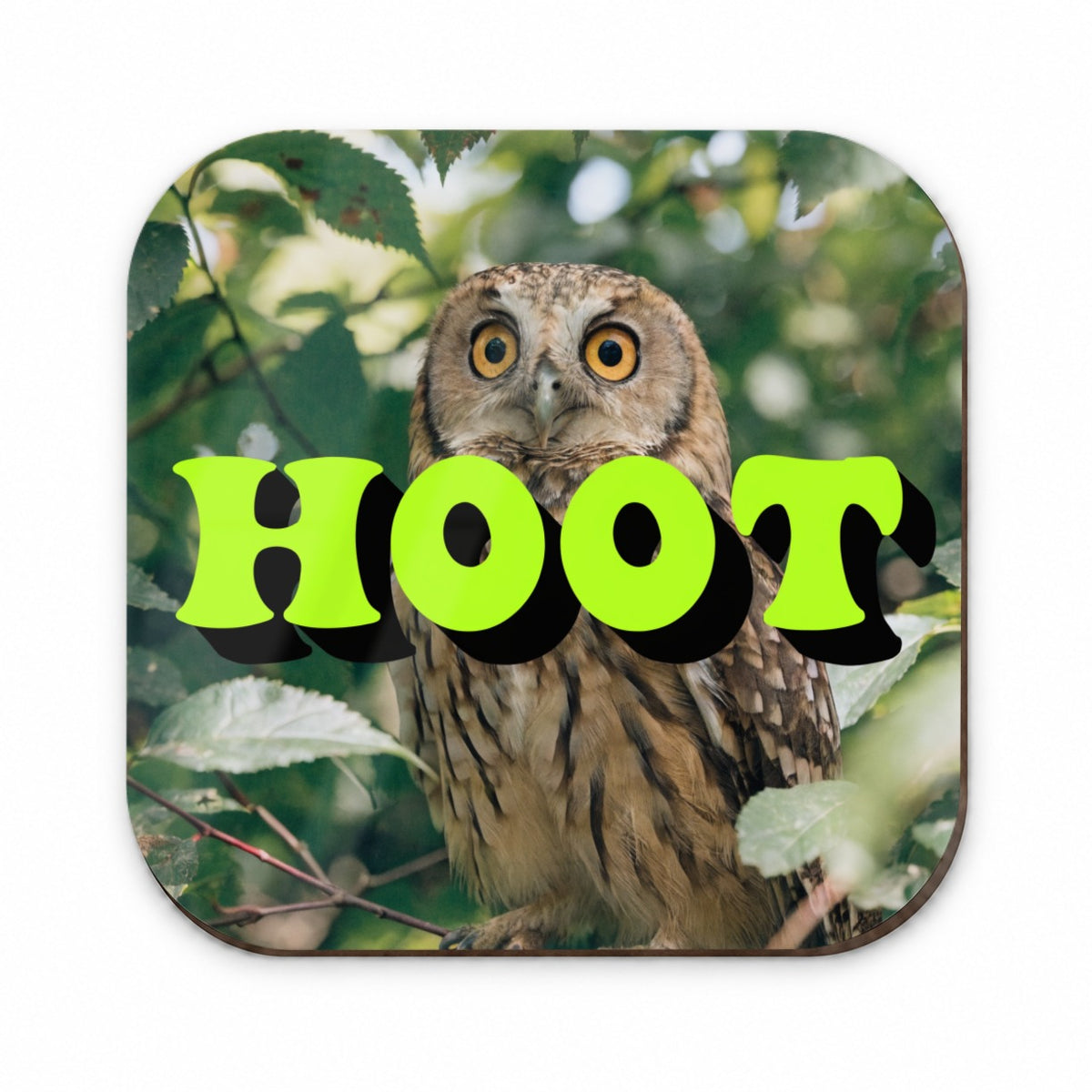 Hoot Owl Funny Fridge Magnet