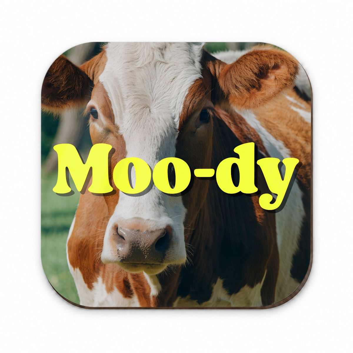 Moody Cow Funny Fridge Magnet