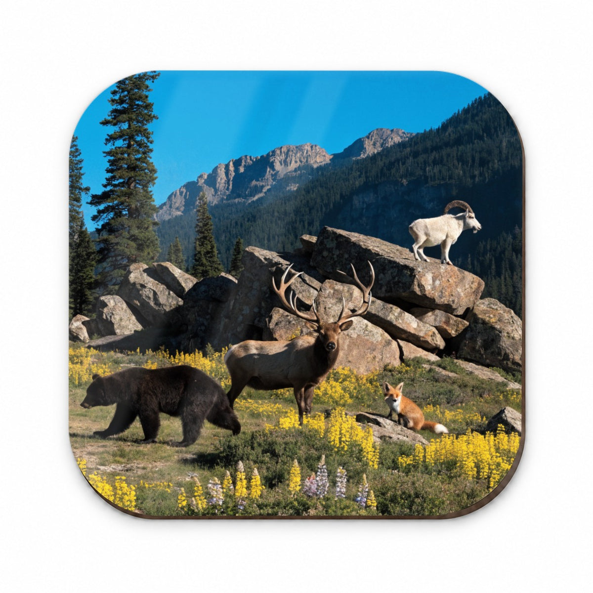National Park Animals Photo Bear Elk Fox Goat Fridge Magnet