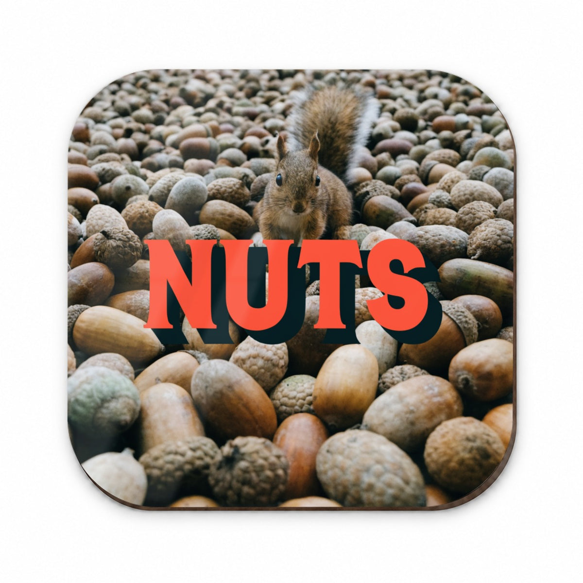 Nuts Funny Squirrel Photo Fridge Magnet
