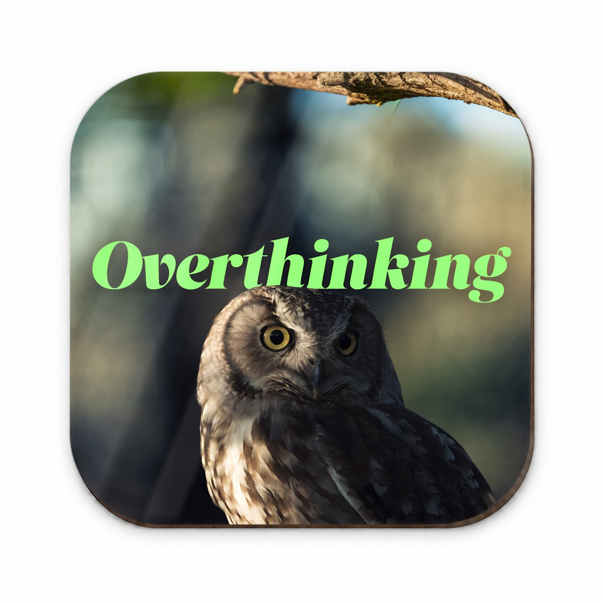 Overthinking Owl Funny Fridge Magnet
