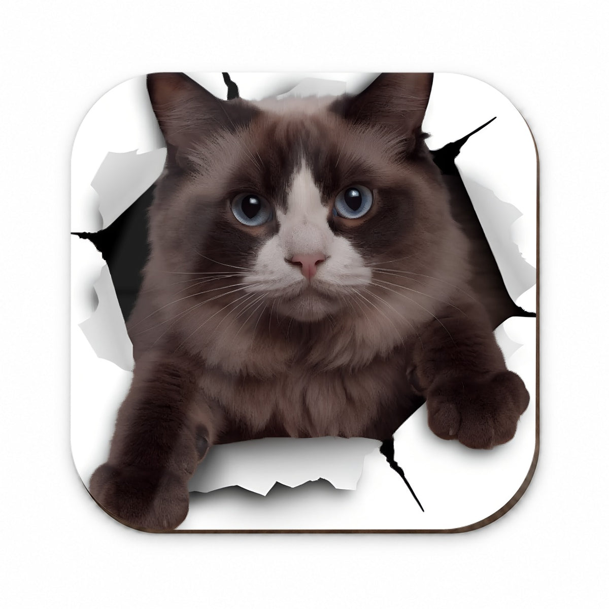 Ragdoll Cat Breakout Fridge Magnet