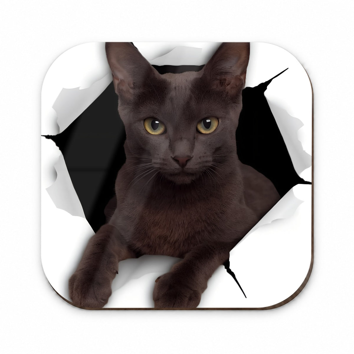 Russian Blue Cat Breakout Fridge Magnet