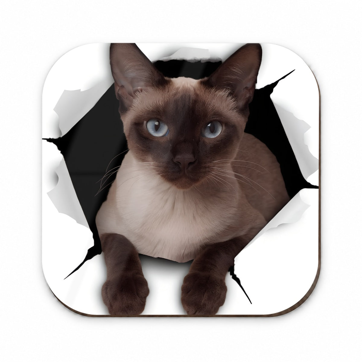 Siamese Cat Breakout Fridge Magnet