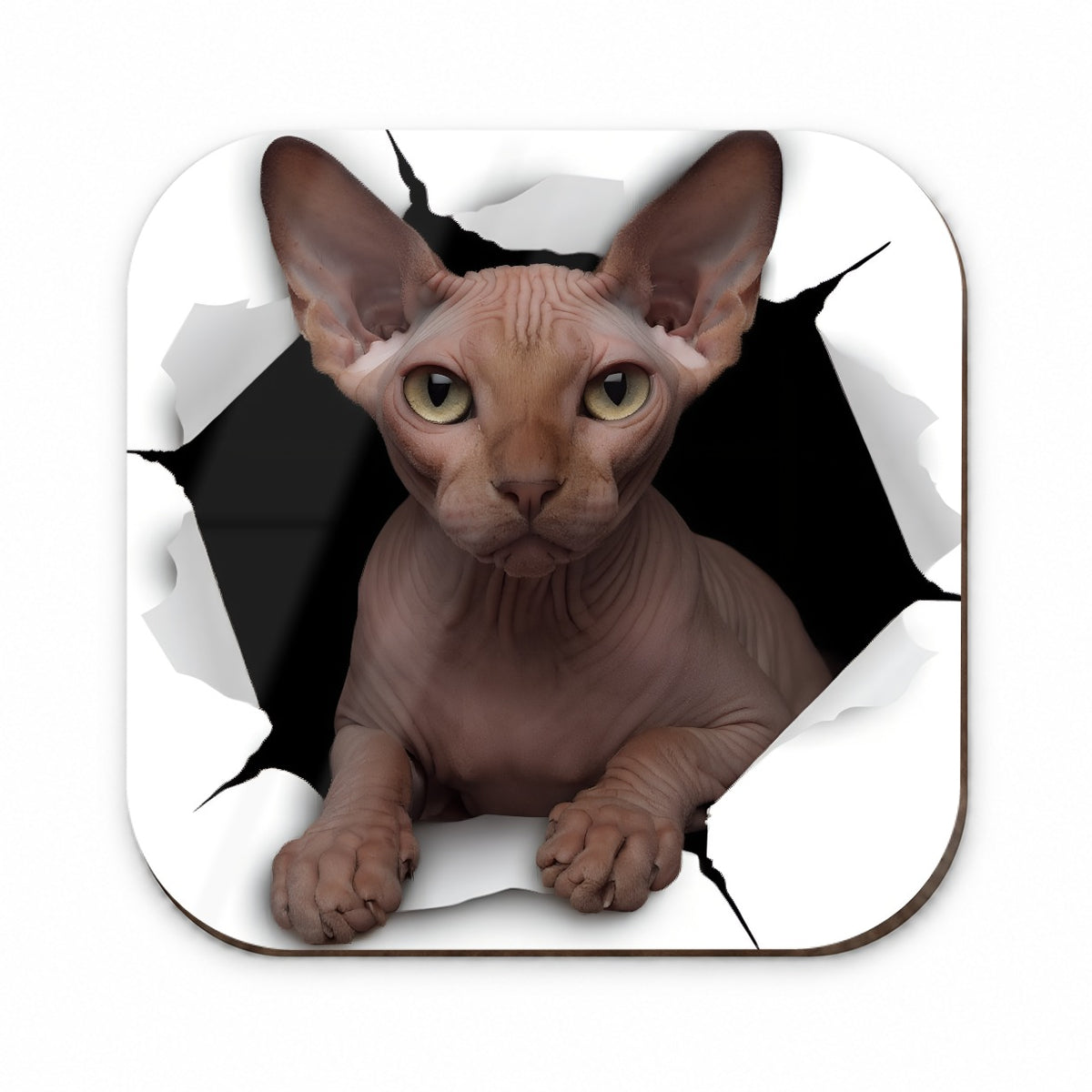 Sphynx Cat Breakout Fridge Magnet