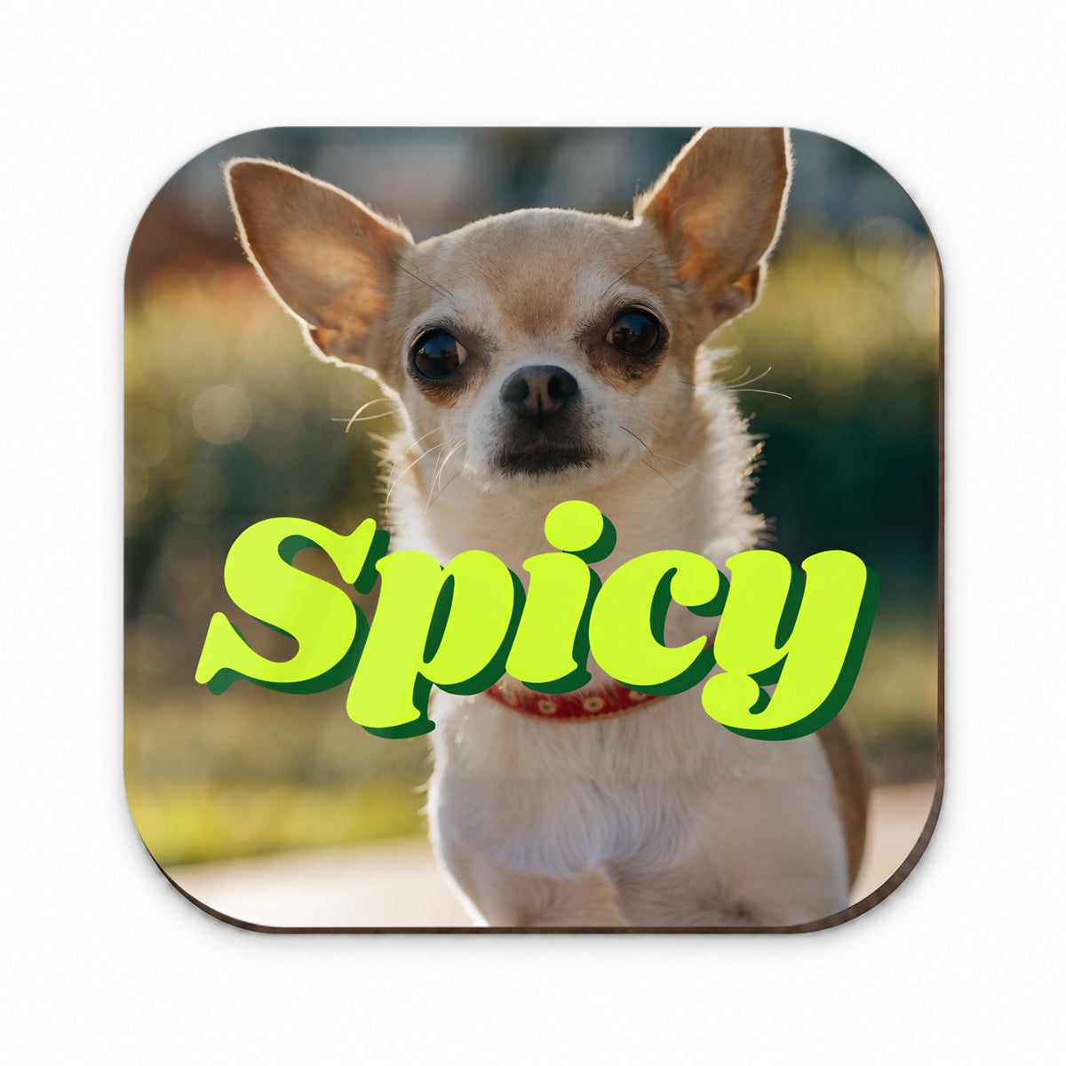 Spicy Chihuahua Dog Funny Fridge Magnet