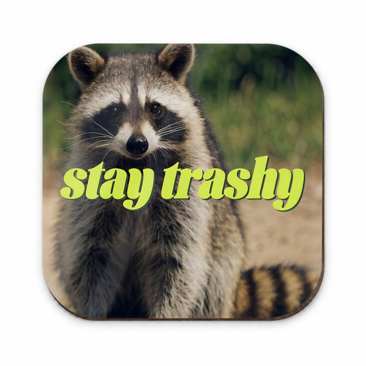 Stay Trashy Raccoon Funny Fridge Magnet