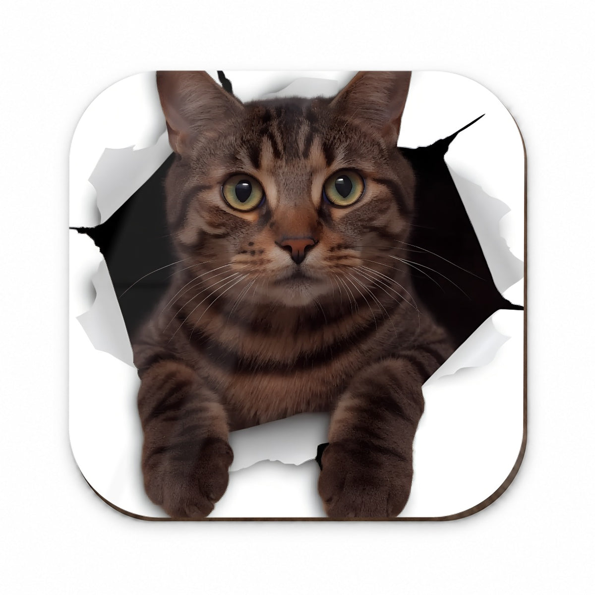 Tabby Cat Breakout Fridge Magnet