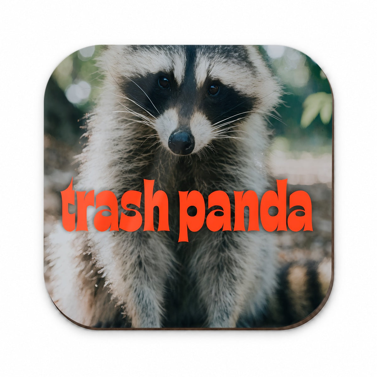 Trash Panda Raccoon Funny Fridge Magnet