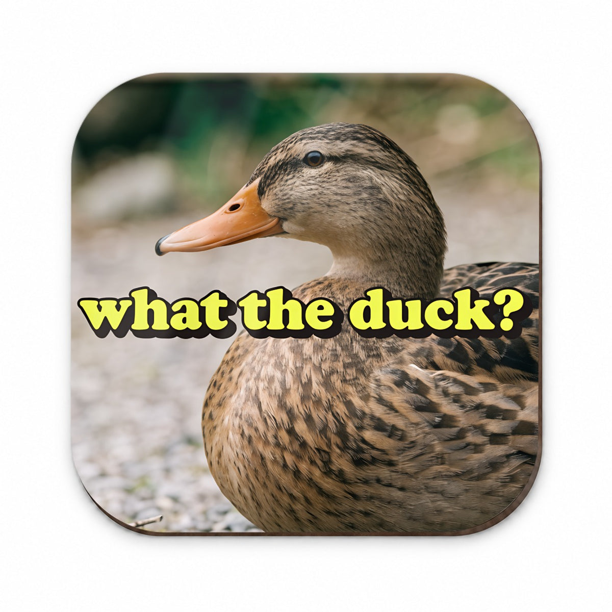 What The Duck Funny Fridge Magnet
