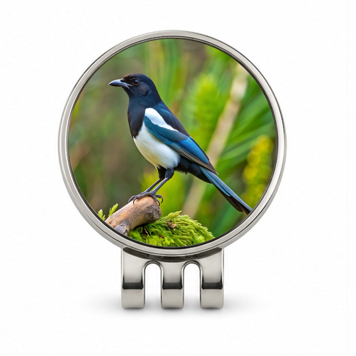 Black Billed Magpie Backyard Bird Golf Hat Clip with Ball Marker