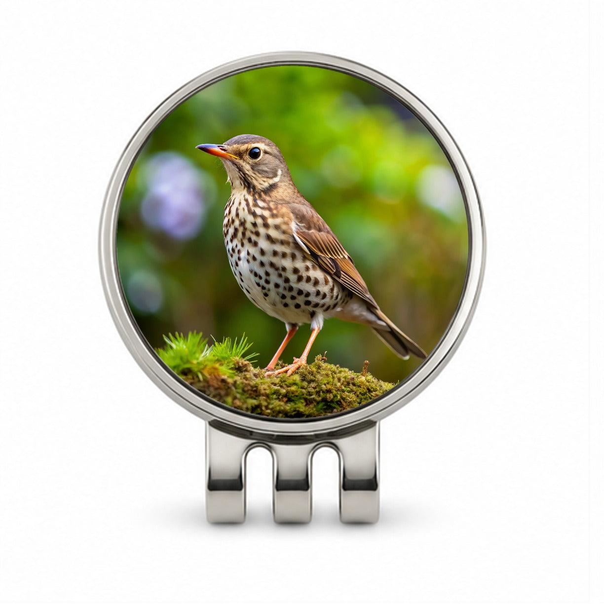 Thrush Bird Backyard Bird Golf Hat Clip with Ball Marker