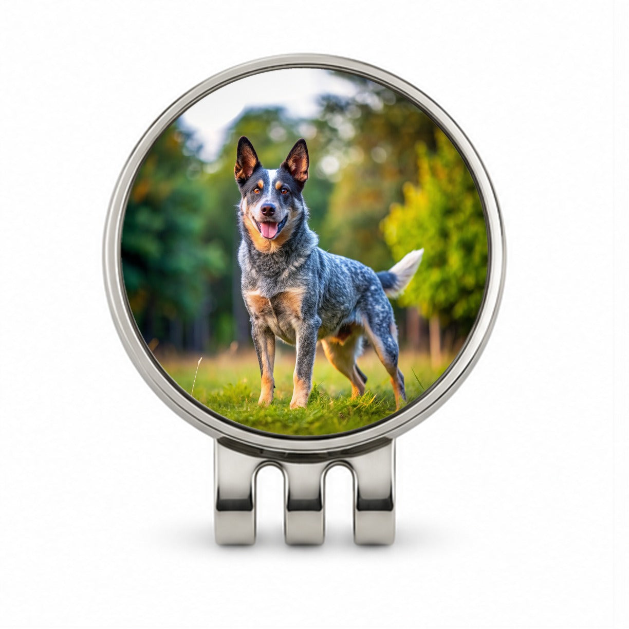 Australian Cattle Dog Photo Golf Hat Clip with Ball Marker