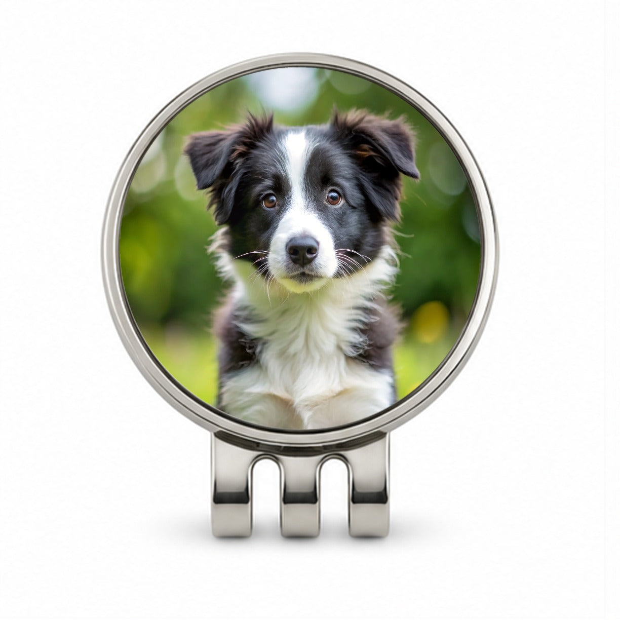 Border Collie Dog Puppy Photo Golf Hat Clip with Ball Marker