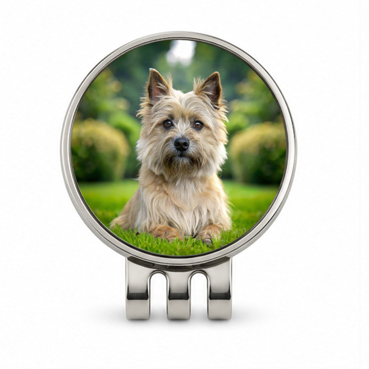 Cairn Terrier Dog Photo Golf Hat Clip with Ball Marker
