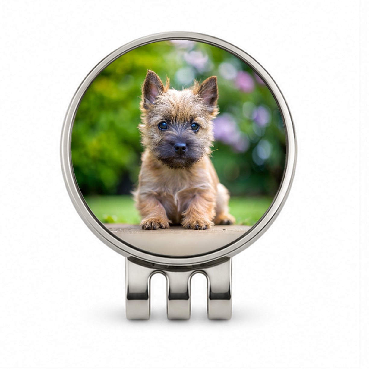 Cairn Terrier Dog Puppy Photo Golf Hat Clip with Ball Marker