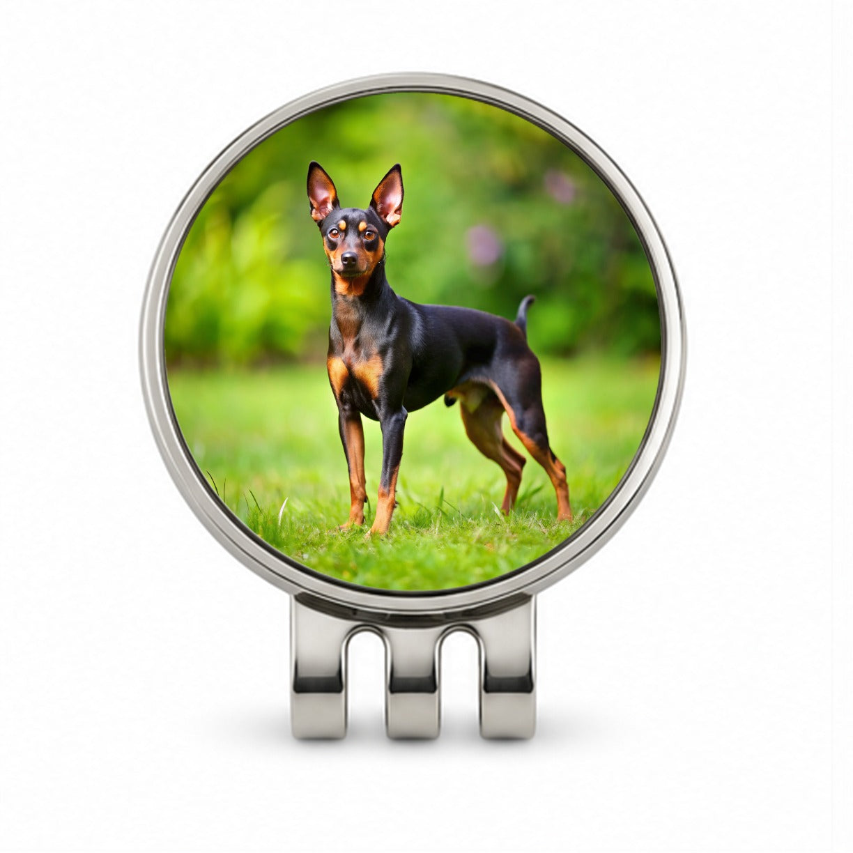 Miniature Pinscher Dog Photo Golf Hat Clip with Ball Marker