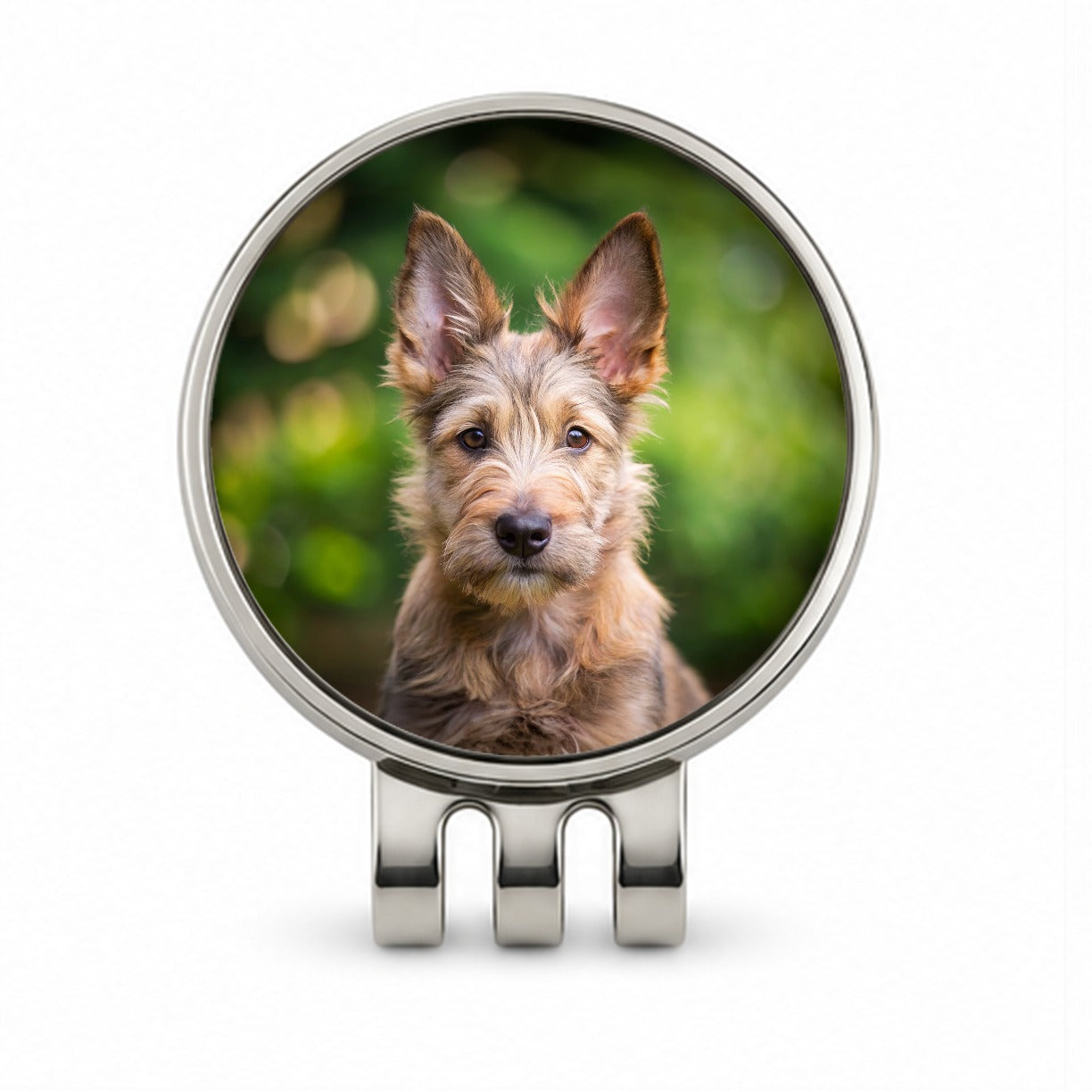 Berger Picard Dog Puppy Photo Golf Hat Clip with Ball Marker
