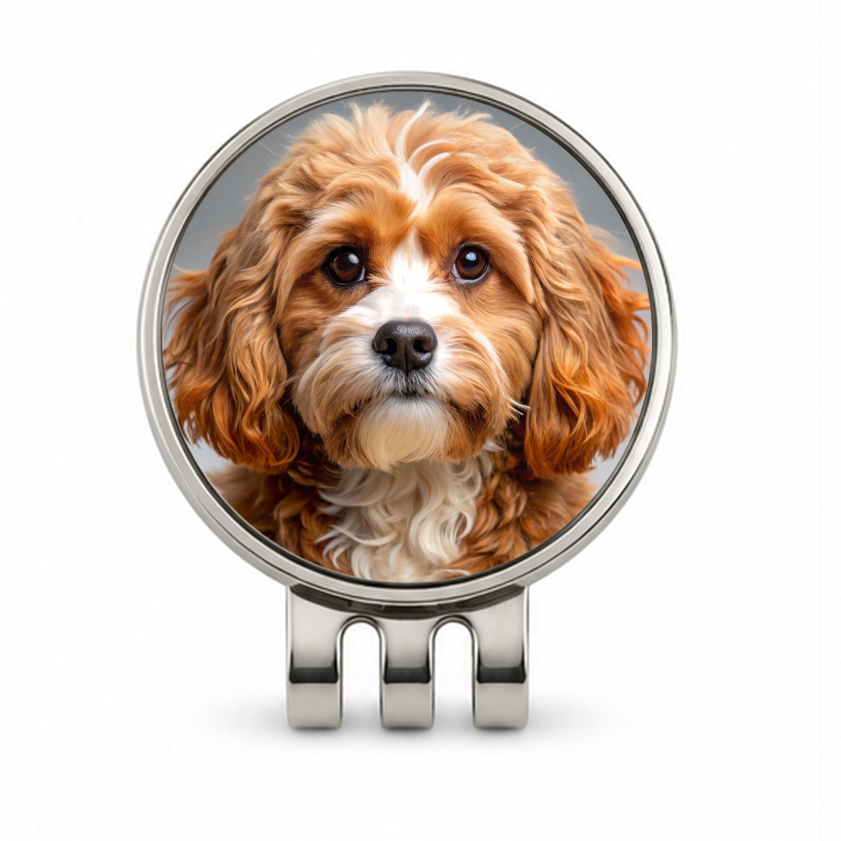 Cavapoo Dog Photo Golf Hat Clip with Ball Marker