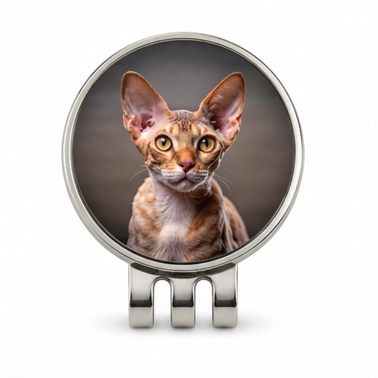 Devon Rex Cat Photo Golf Hat Clip with Ball Marker