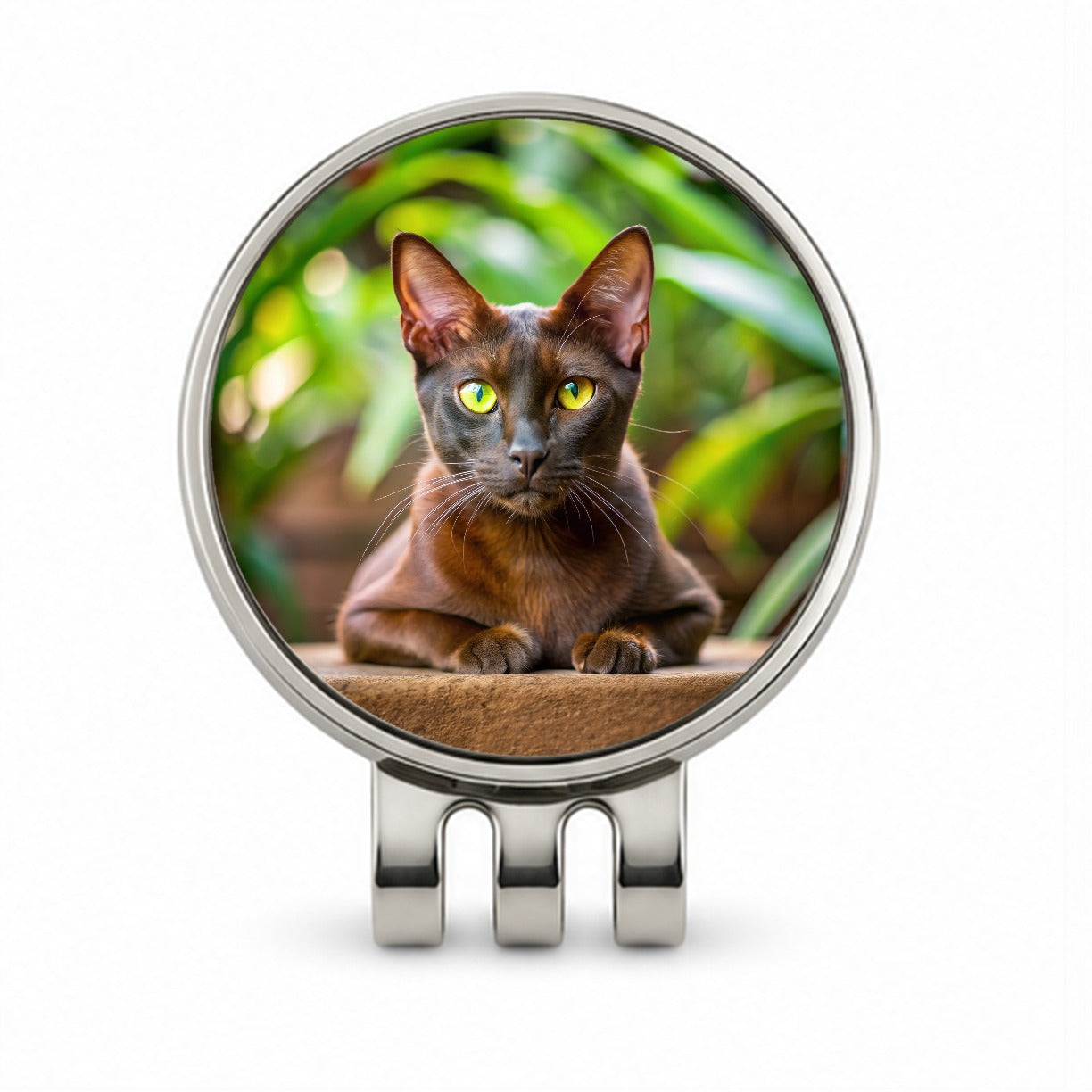 Havana Brown Cat Photo Golf Hat Clip with Ball Marker