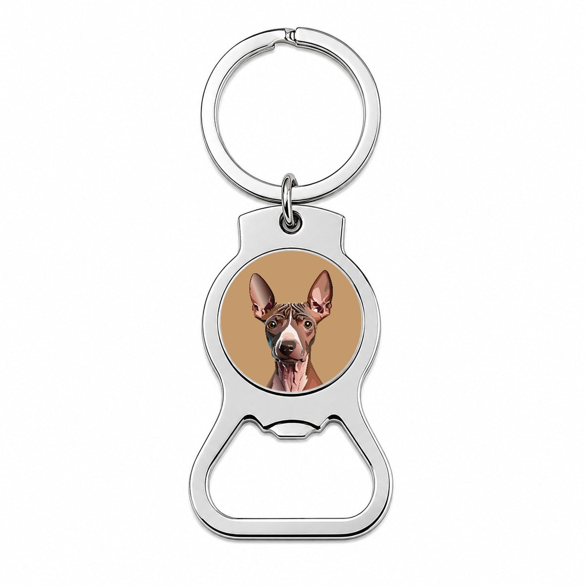 American Hairless Terrier Staring Bottle Opener Keychain