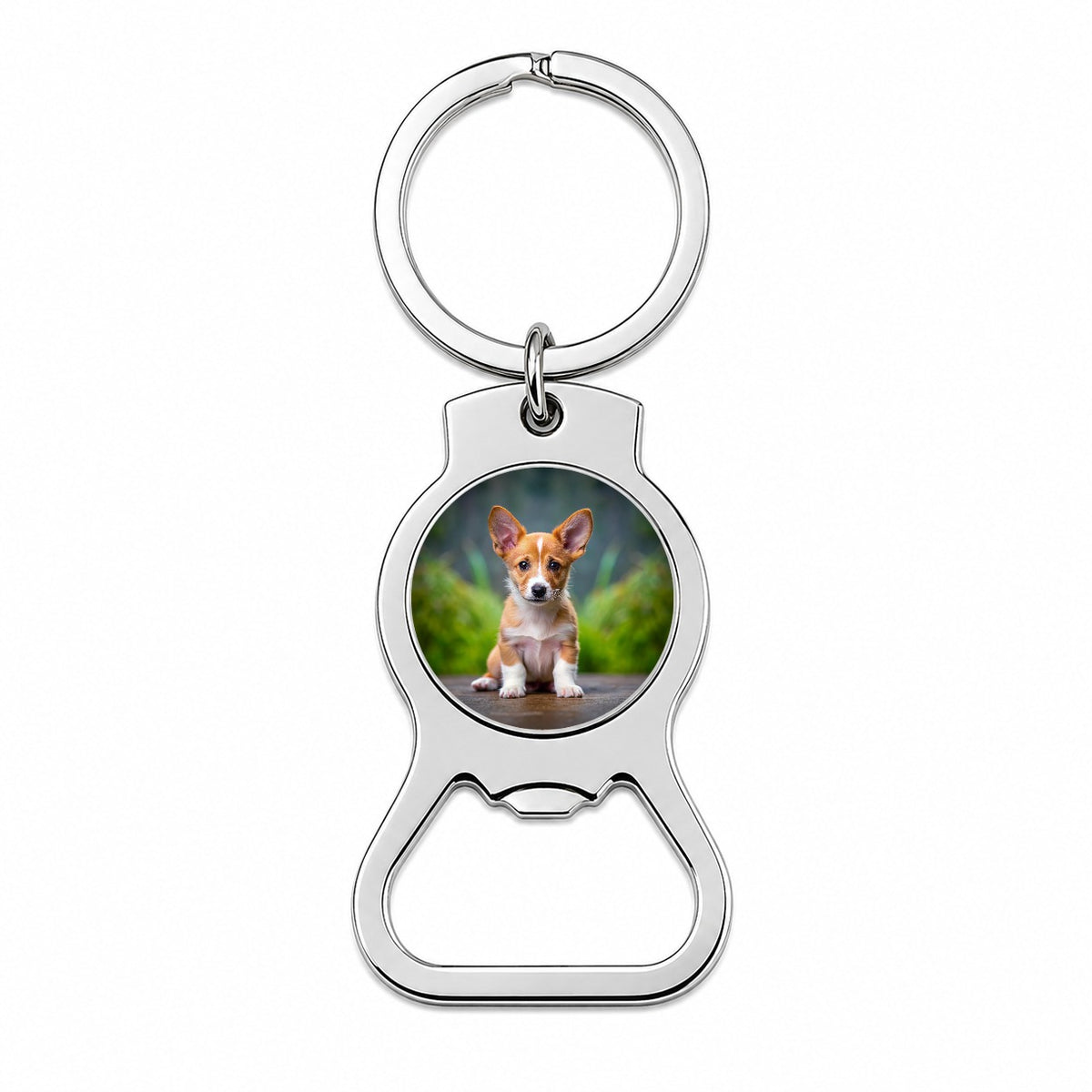 Portuguese Podengo Pequeno Dog Puppy Photo Bottle Opener Keychain