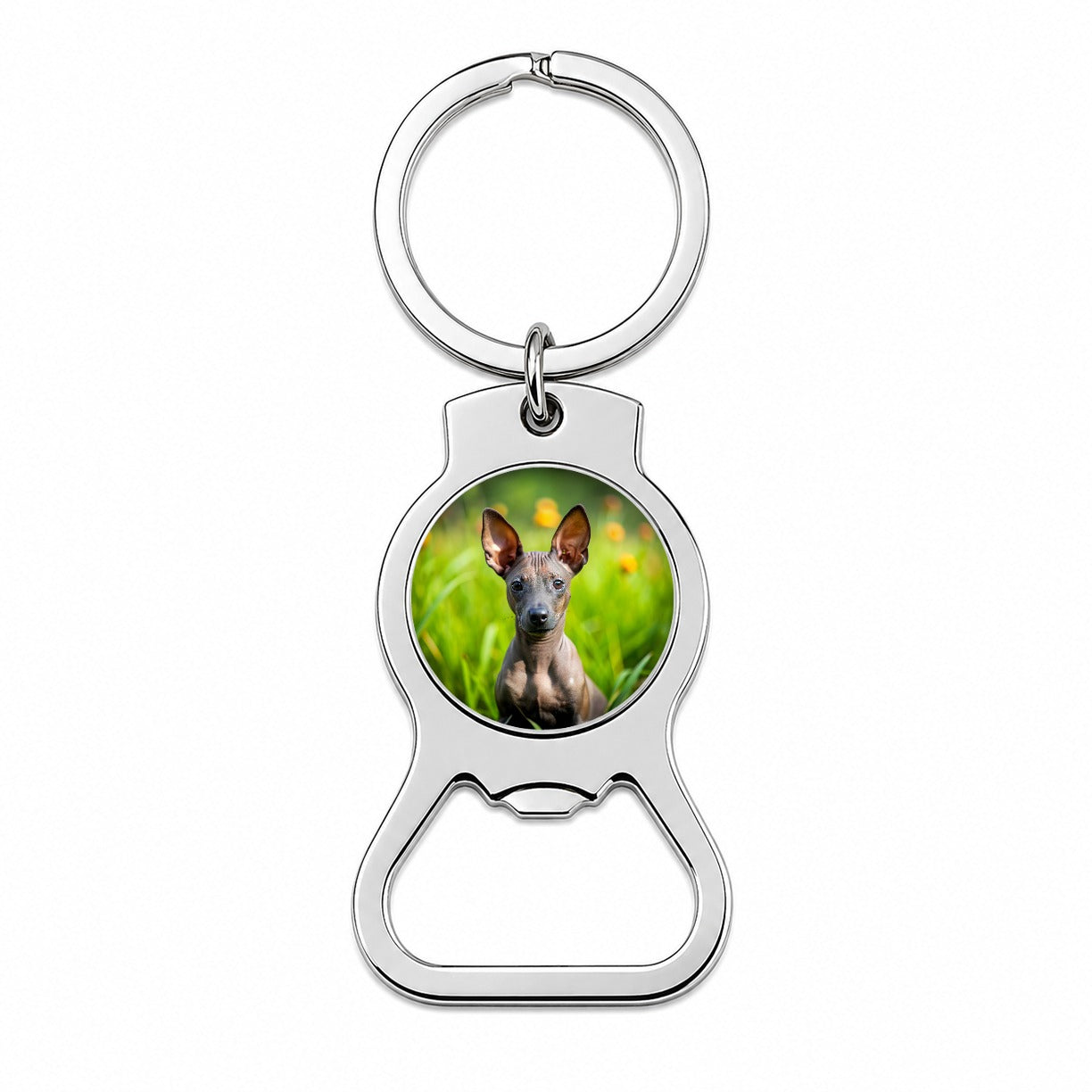 Xoloitzcuintli Xolo Mexican Hairless Dog Puppy Photo Bottle Opener Keychain