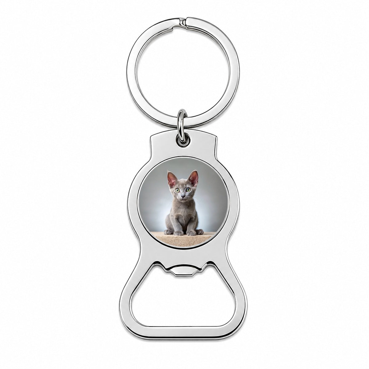 Korat Cat Kitten Photo Bottle Opener Keychain