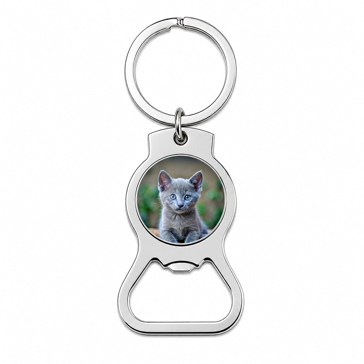 Russian Blue Cat Kitten Photo Bottle Opener Keychain
