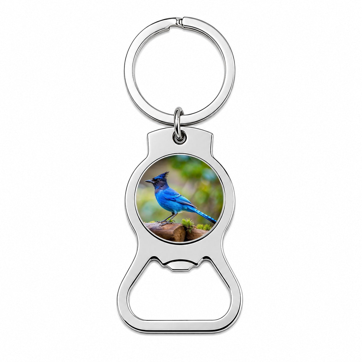 Stellar's Jay Backyard Bird Bottle Opener Keychain