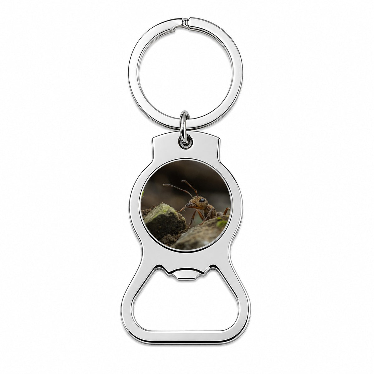 Ant Insect Nature Photo Bottle Opener Keychain