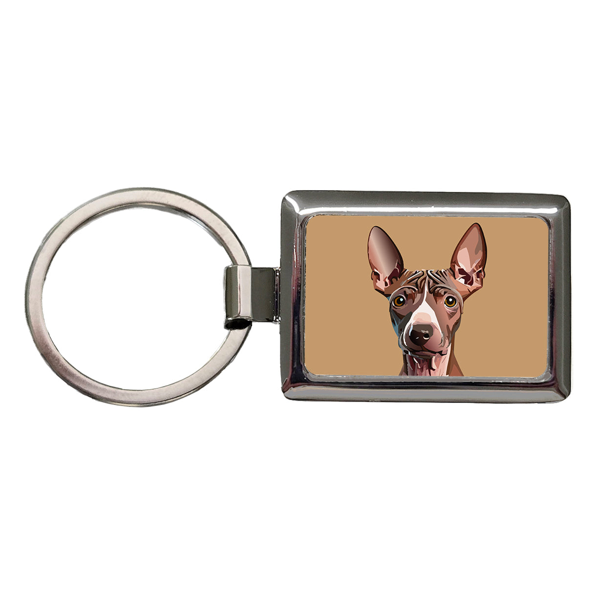 American Hairless Terrier Staring Rectangle Metal Keychain